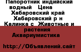Папоротник индийский водный › Цена ­ 100 - Хабаровский край, Хабаровский р-н, Калинка с. Животные и растения » Аквариумистика   